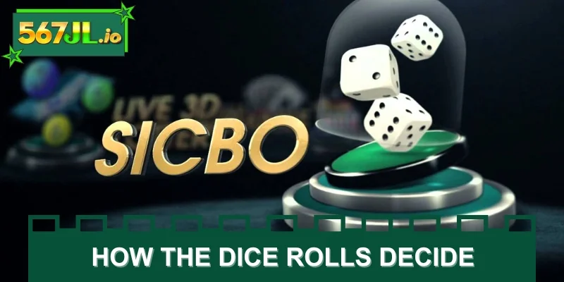 How the dice rolls decide every outcome